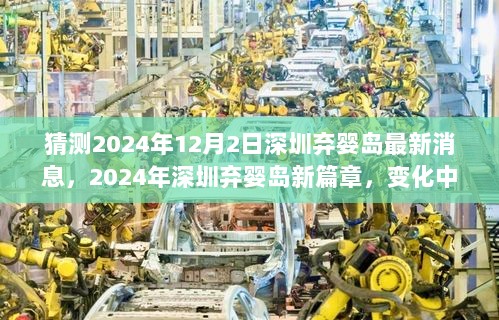 2024年深圳弃婴岛，新篇章下的自信与成长之路