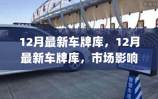 12月最新车牌库市场影响与选择分析