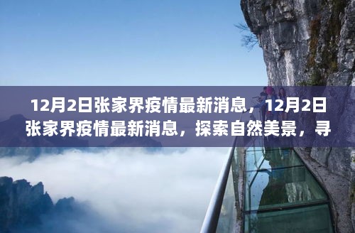 12月2日张家界疫情最新消息，探索自然美景，寻找心灵平静之旅