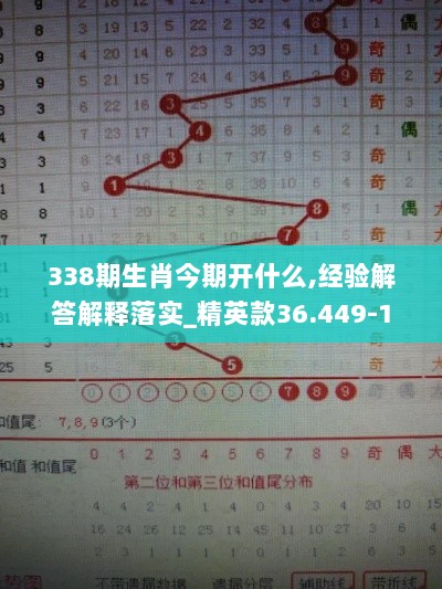 338期生肖今期开什么,经验解答解释落实_精英款36.449-1