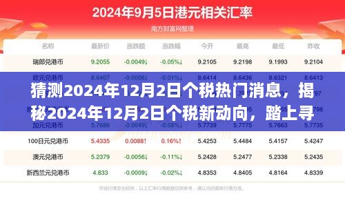 2024年12月2日个税新动向揭秘，踏上心灵绿洲的寻觅之旅