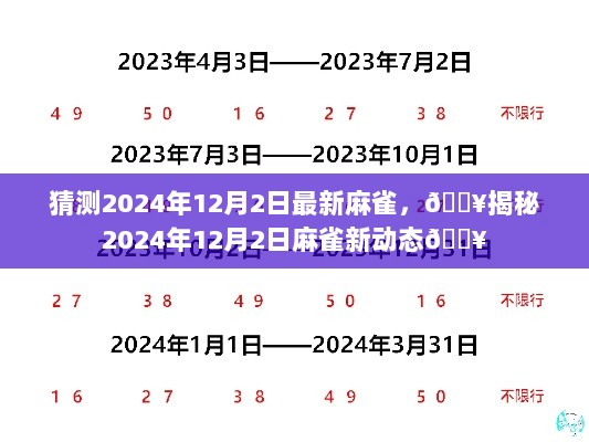 2024年12月2日麻雀新动态揭秘与预测