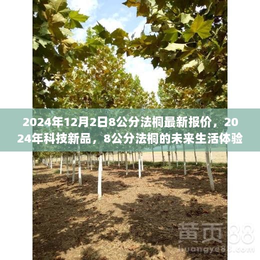 2024年8公分法桐最新报价及未来生活体验的科技新品展望