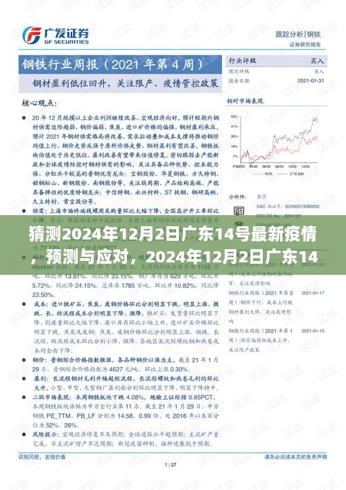 2024年12月2日广东14号疫情预测与应对策略挑战