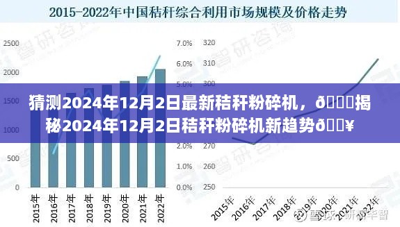 2024年12月3日 第5页