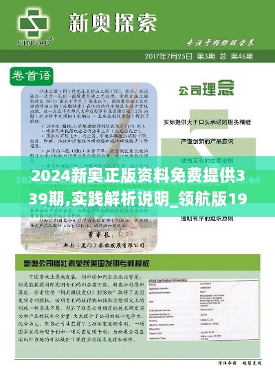 2024新奥正版资料免费提供339期,实践解析说明_领航版19.295-1