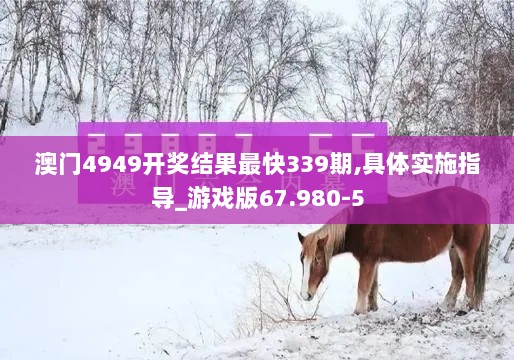 澳门4949开奖结果最快339期,具体实施指导_游戏版67.980-5