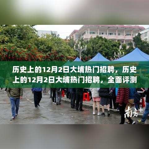 历史上的12月2日大埔热门招聘，全面深度解析与评测