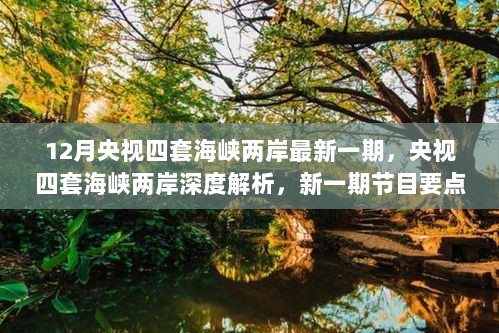 央视四套海峡两岸深度解析，12月最新一期节目要点概览