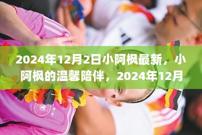 小阿枫的2024年12月2日暖心日常，温馨陪伴的记录