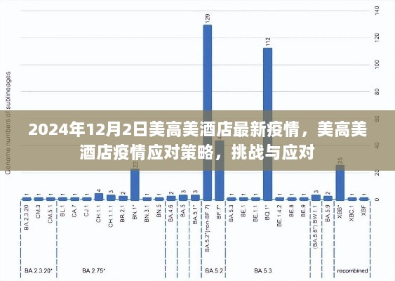 美高美酒店2024年12月2日疫情最新动态及应对策略，挑战与应对