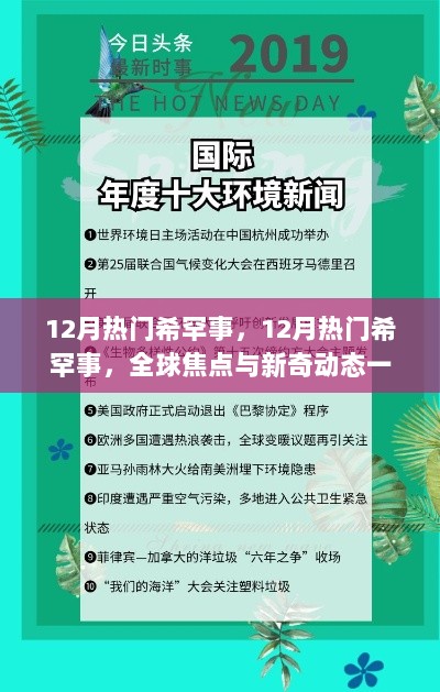 12月全球热门新奇动态与焦点一览