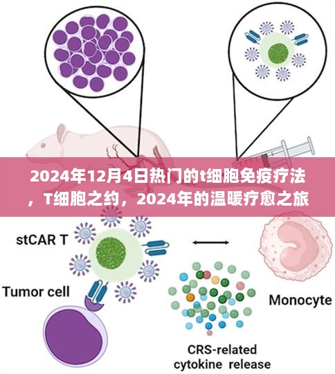 2024年T细胞免疫疗法，热门的温暖疗愈之旅T细胞之约，2024年热门免疫疗法之旅，直接明了地表达了文章或内容的主要焦点，即2024年热门的T细胞免疫疗法。同时，T细胞之约和温暖疗愈之旅这两个词汇的加入，为标题增添了诗意和情感色彩，使读者更容易产生共鸣和兴趣。