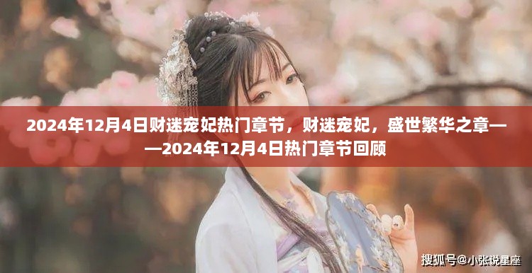 财迷宠妃，盛世繁华之章——2024年12月4日热门回顾