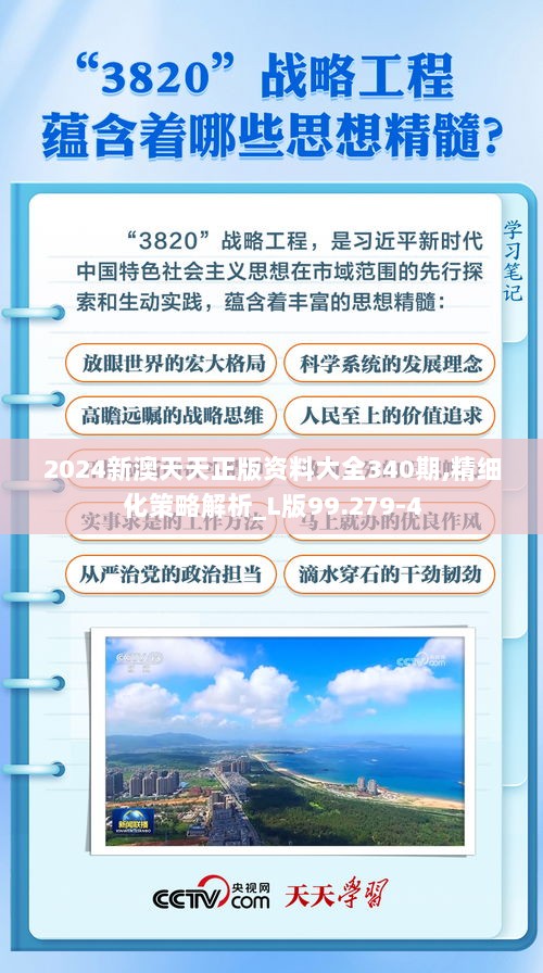 2024新澳天天正版资料大全340期,精细化策略解析_L版99.279-4