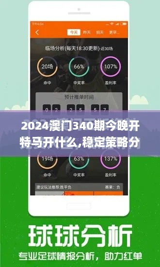 2024澳门340期今晚开特马开什么,稳定策略分析_挑战版44.548-8