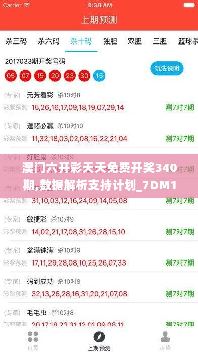 澳门六开彩天天免费开奖340期,数据解析支持计划_7DM135.477-7