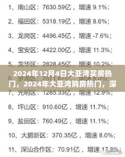 2024年大亚湾购房热门，深度解析与体验报告