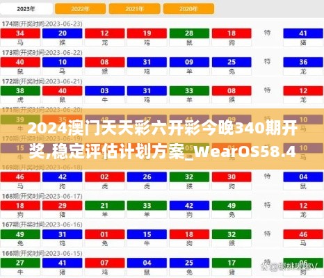 2024年12月5日 第29页