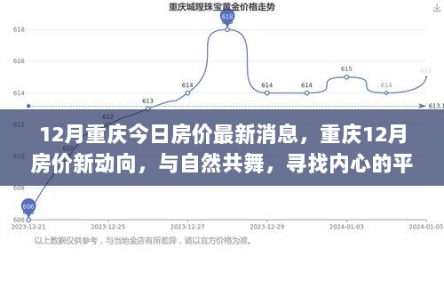 12月重庆房价新动向，与自然共舞，探寻房价与内心平静的交织