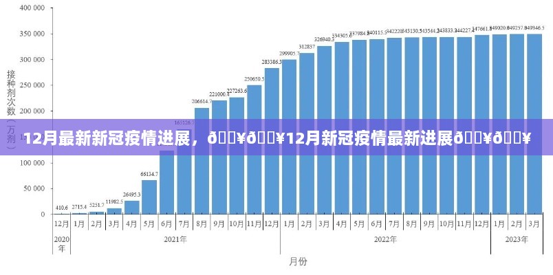 12月新冠疫情最新进展报告