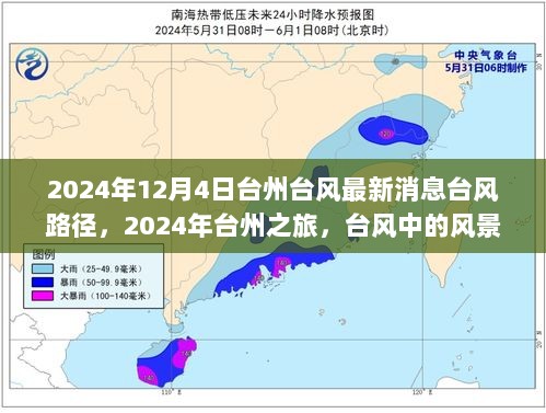 2024年台州台风路径与自然探索之旅，风雨中的独特风景