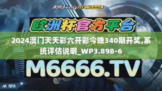 2024澳门天天彩六开彩今晚340期开奖,系统评估说明_WP3.898-6