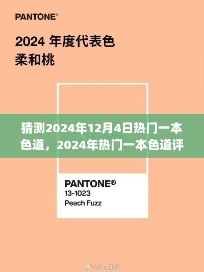 2024年热门一本色道，评测与展望