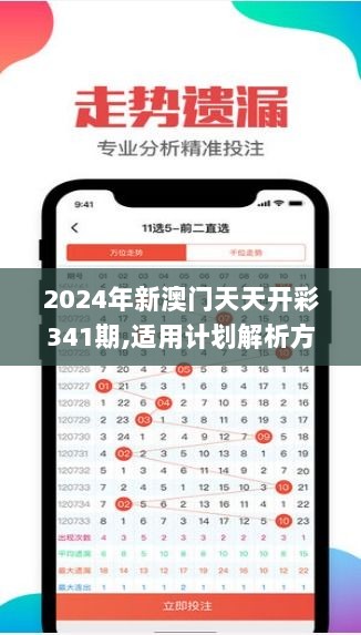 2024年12月5日 第13页