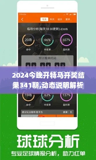 2024今晚开特马开奖结果341期,动态说明解析_The6.654