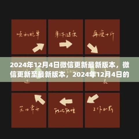 2024年12月5日 第8页