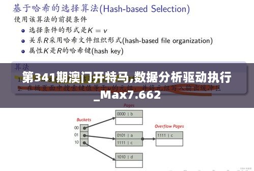 第341期澳门开特马,数据分析驱动执行_Max7.662