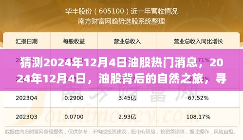 2024年12月4日油股背后的自然之旅，探寻平静与宁静的探险消息热点