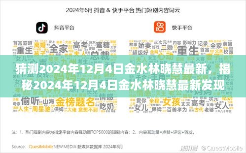 2024年12月4日金水林晓慧最新揭秘，隐藏在小巷的特色小店探索之旅