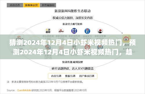 2024年12月4日小虾米视频热门趋势分析与观点探讨