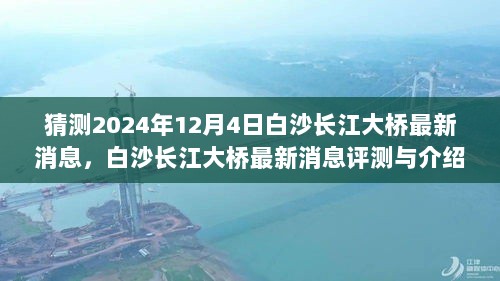 2024年12月4日白沙长江大桥最新消息及评测展望介绍