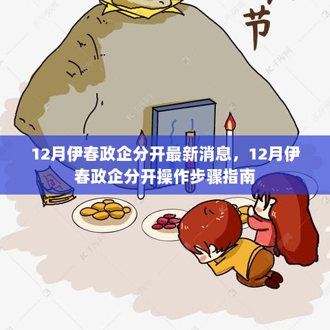 12月伊春政企分开最新消息及操作步骤指南