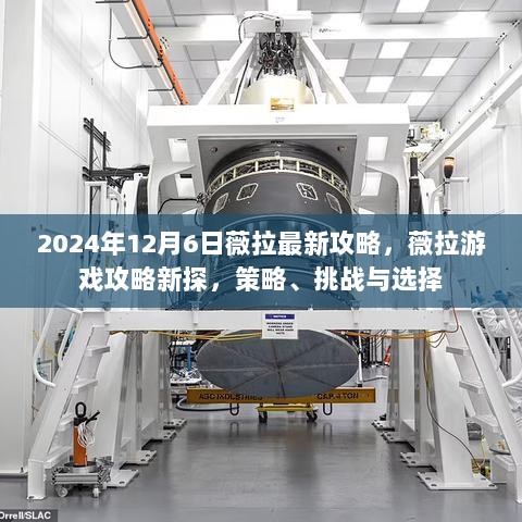 2024年12月7日 第24页