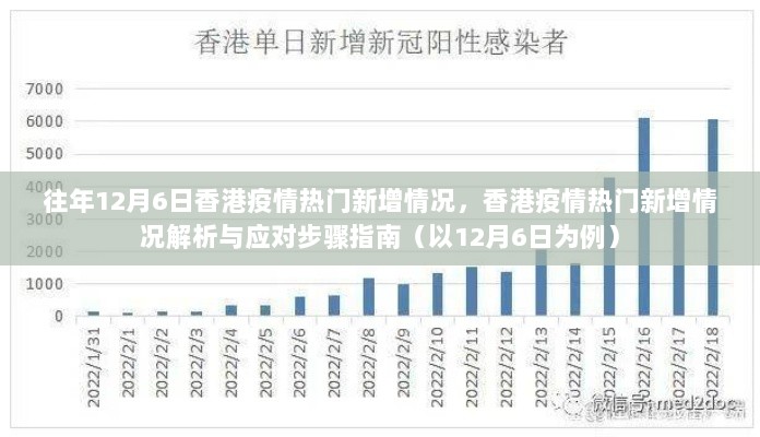 2024年12月7日 第23页