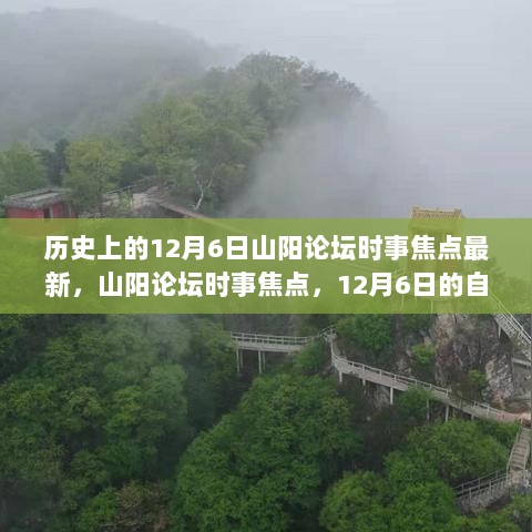 12月6日山阳论坛时事焦点，探寻自然之旅，追寻内心的宁静与喜悦