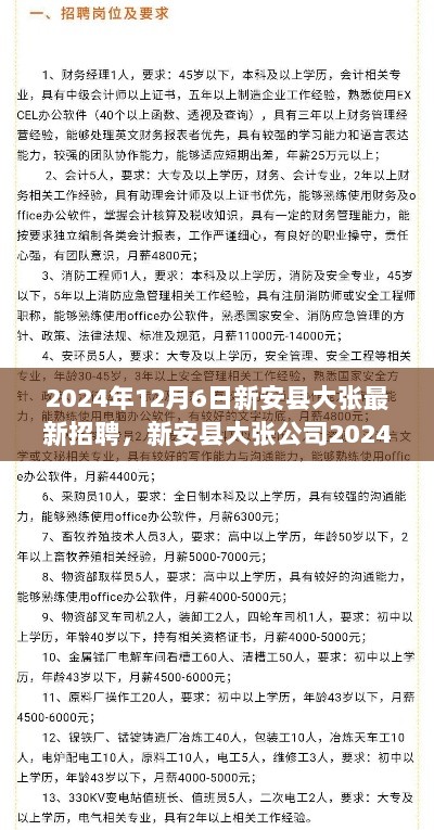 新安县大张公司2024年12月6日最新招聘公告