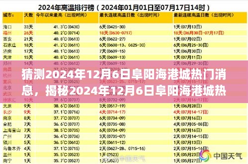 2024年12月6日阜阳海港城热门事件揭秘与深度解析