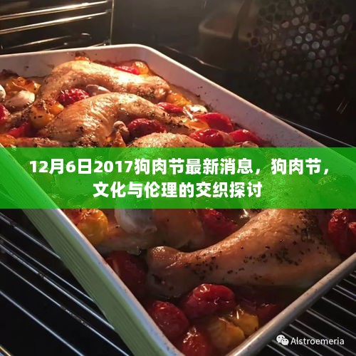 狗肉节，文化与伦理的交织探讨（最新消息2017年12月6日）