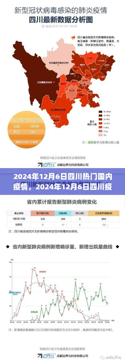 2024年12月6日四川疫情深度解析与防控策略最新动态