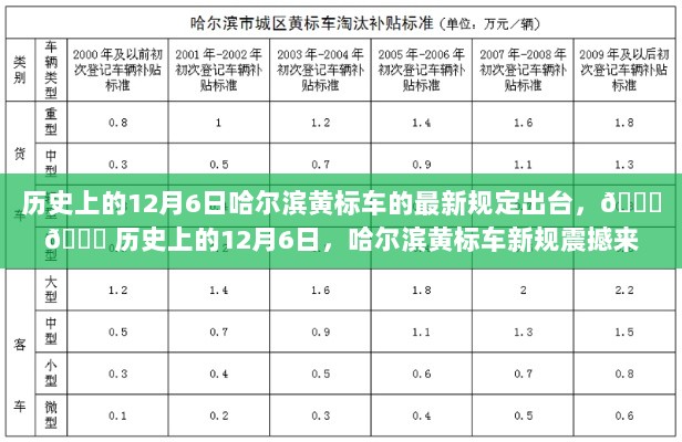 哈尔滨黄标车新规在历史性的12月6日正式出台！