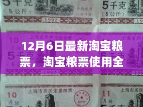 12月6日淘宝粮票使用全攻略与最新版步骤指南