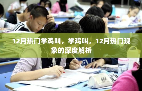 12月学鸡叫现象的深度解析与热议