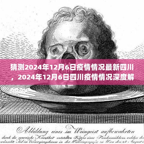 2024年12月6日四川疫情情况深度解析与评测