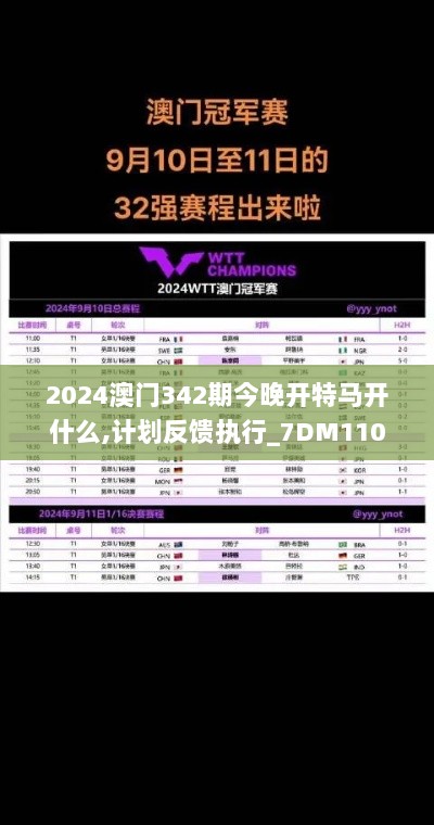 2024澳门342期今晚开特马开什么,计划反馈执行_7DM110.875