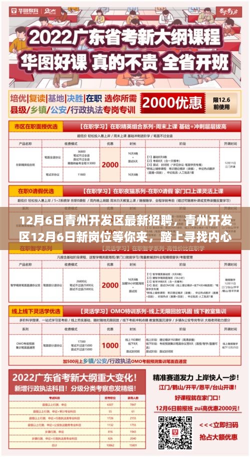 青州开发区12月6日新岗位招聘启事，寻找内心平静之旅的起点